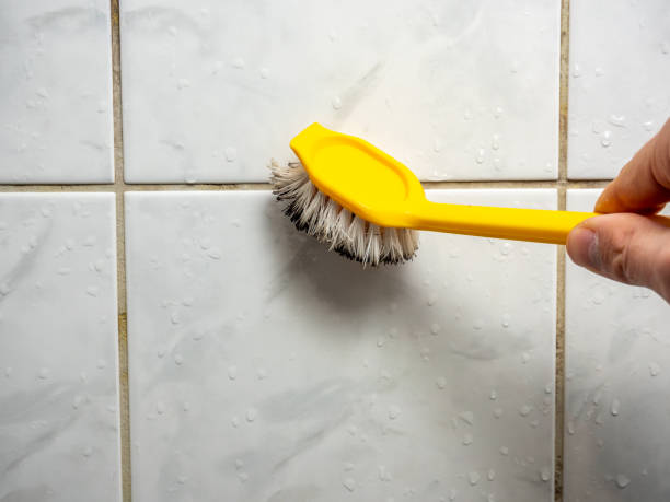 Best Mold Testing  in Arroyo Grande, CA