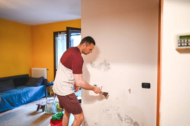 Mold Testing and Removal in Arroyo Grande, CA